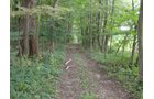 Property photo 14 - 160 Acres Offered in 6 Tracts